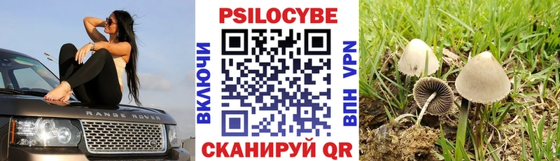 цена   Североуральск  Галлюциногенные грибы Psilocybine cubensis 